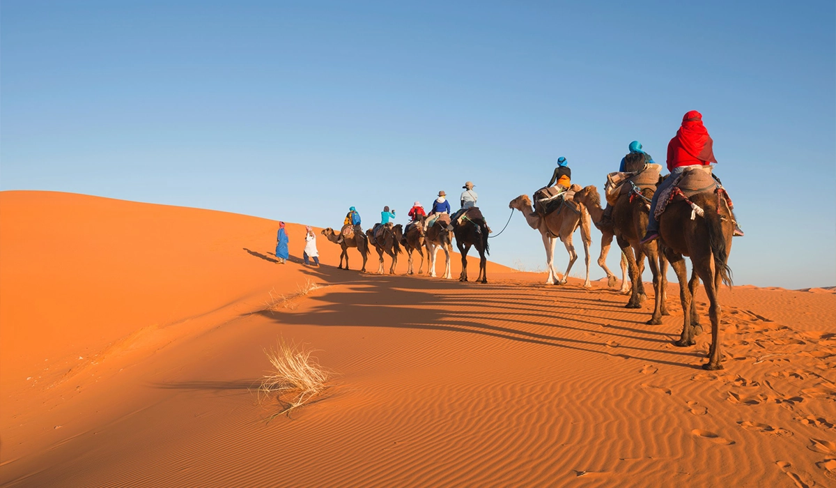 3 DAYS DESERT TOUR MARRAKECH TO FEZ CITY - Salah Excursions - 02