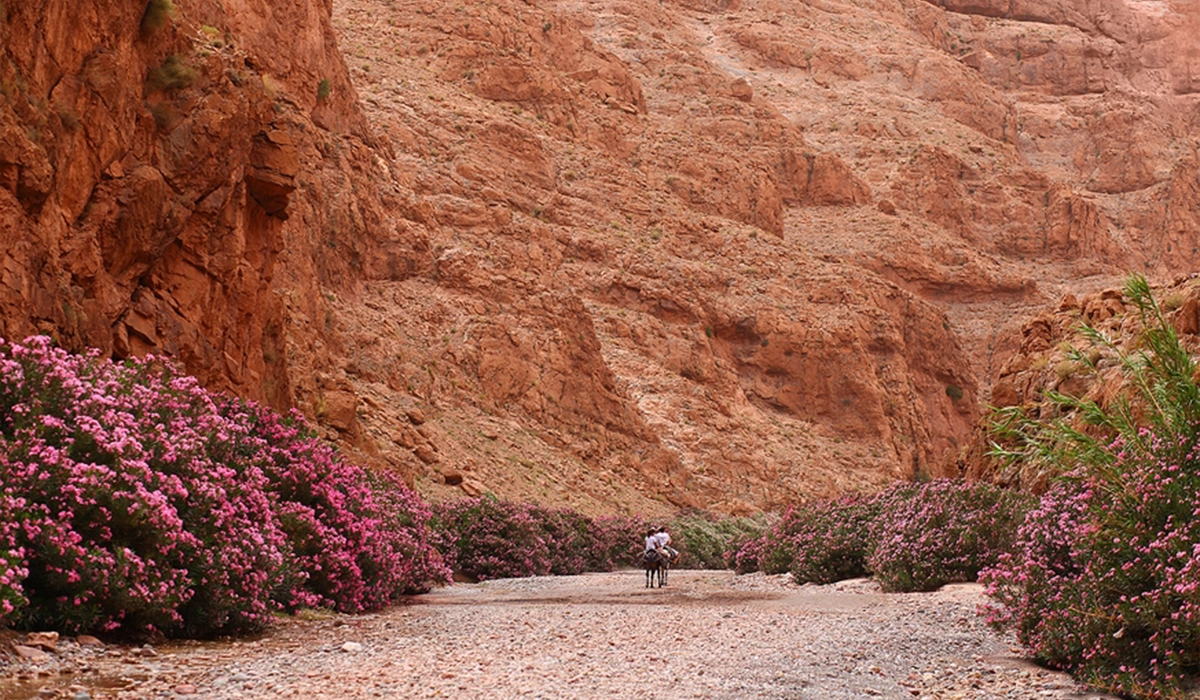 5 DAYS DESERT TOUR MARRAKECH TO CHEFCHAOUEN - Salah Excursions - 03