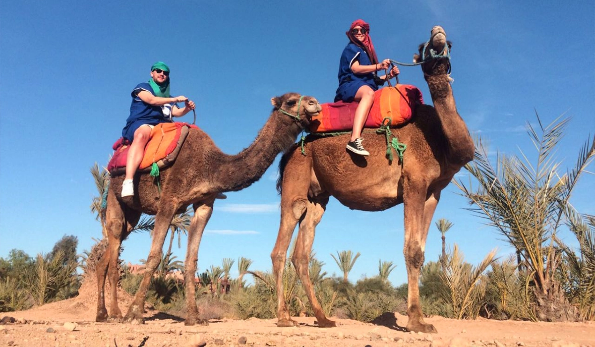 CAMEL RIDE IN MARRAKECH - Salah Excursions - 01