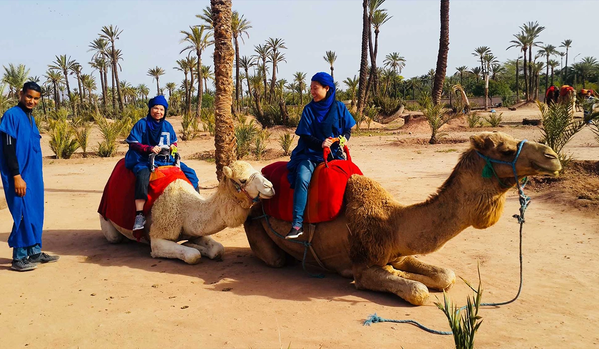 CAMEL RIDE IN MARRAKECH - Salah Excursions - 03