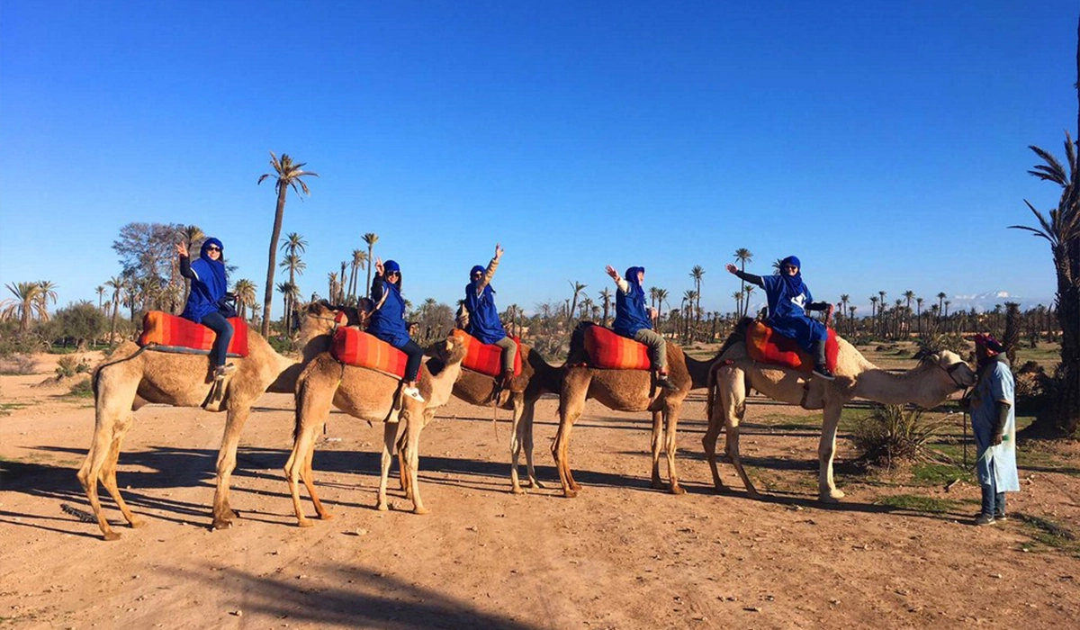 CAMEL RIDE IN MARRAKECH - Salah Excursions - 04